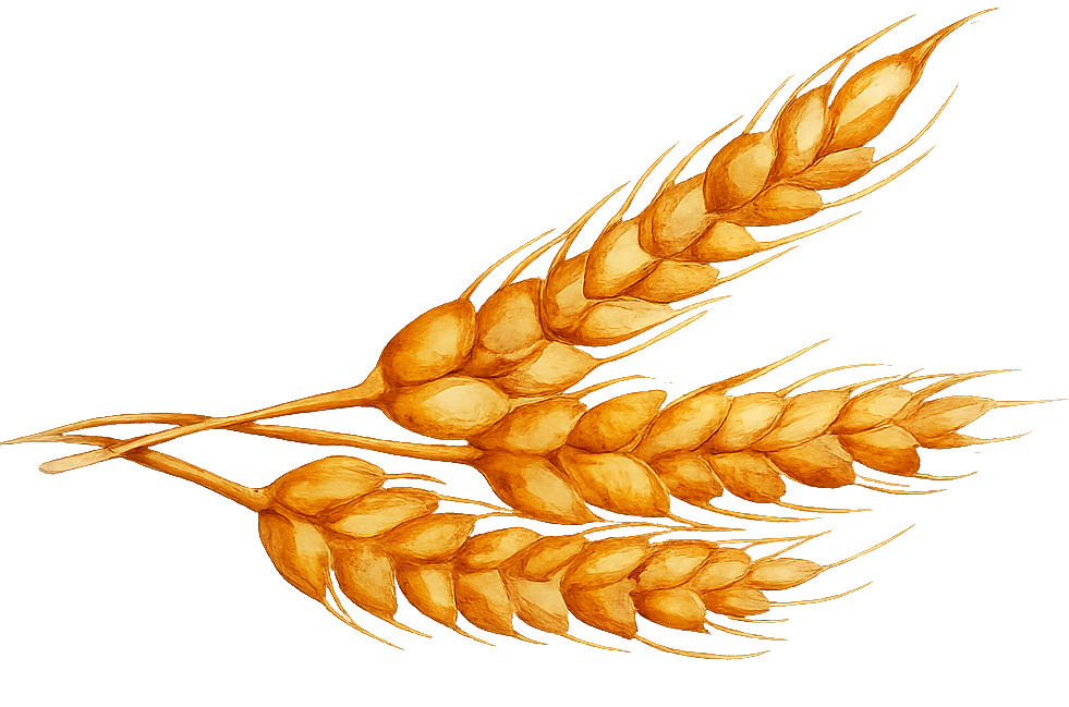 Wheat placeholder for Farina means flour