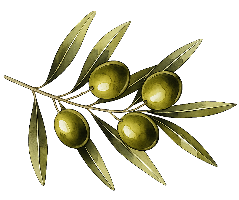 Olive placeholder for why olive oil matters